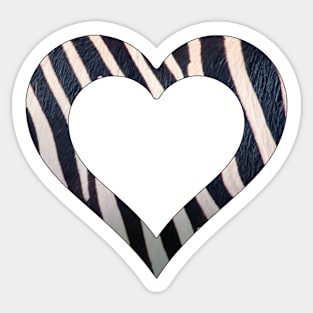 A hole in my Heart for you in zebra stripes Sticker